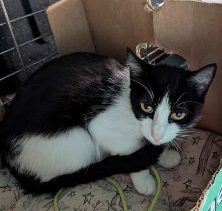 Photo of Nellie