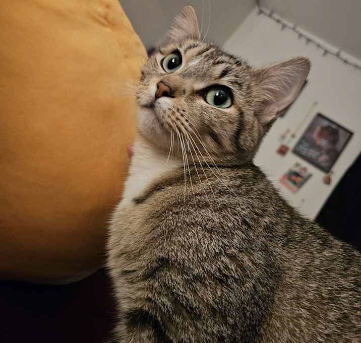 Photo of Lily