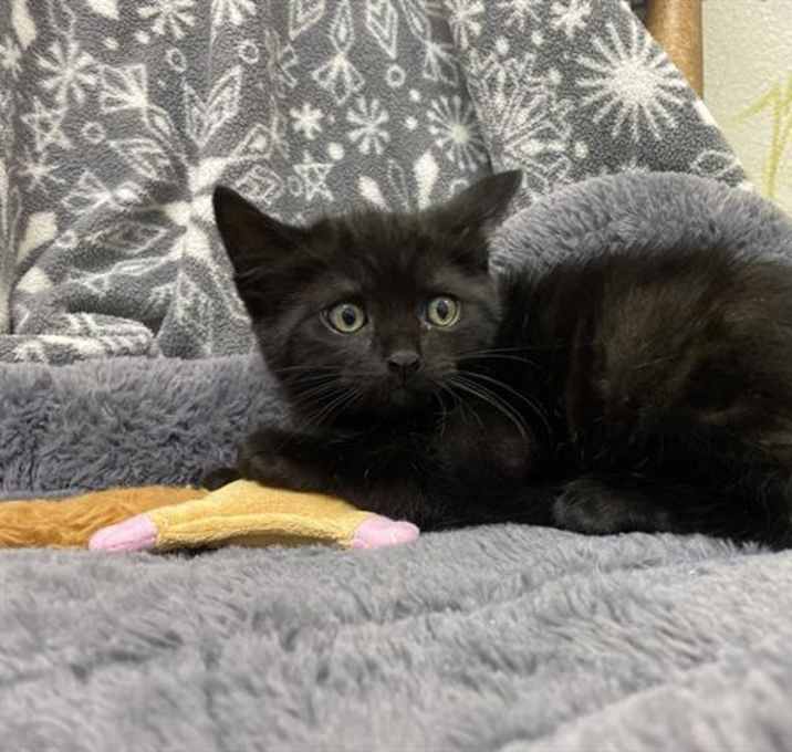 Photo of SQUIRT