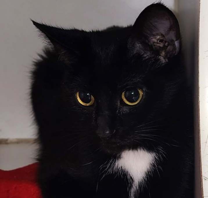 Photo of Cali