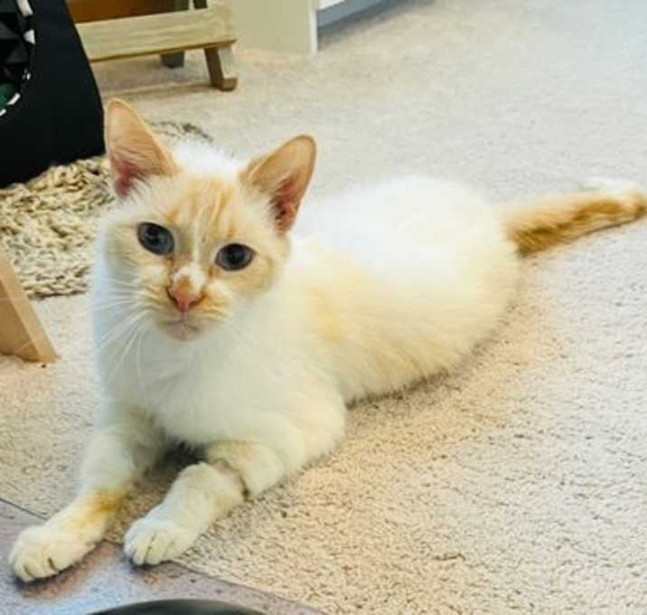 Photo of Bentley