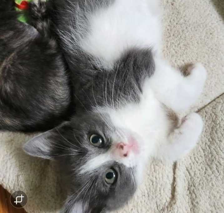 Photo of Malbec