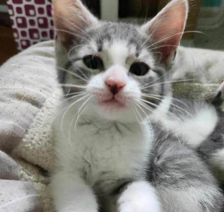 Photo of Pinot