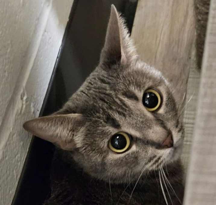 Photo of Sunshine