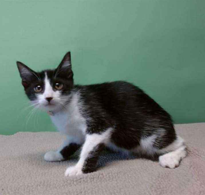 Photo of A5702011