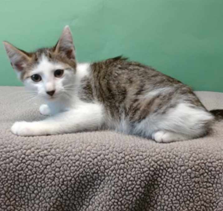 Photo of A5702009
