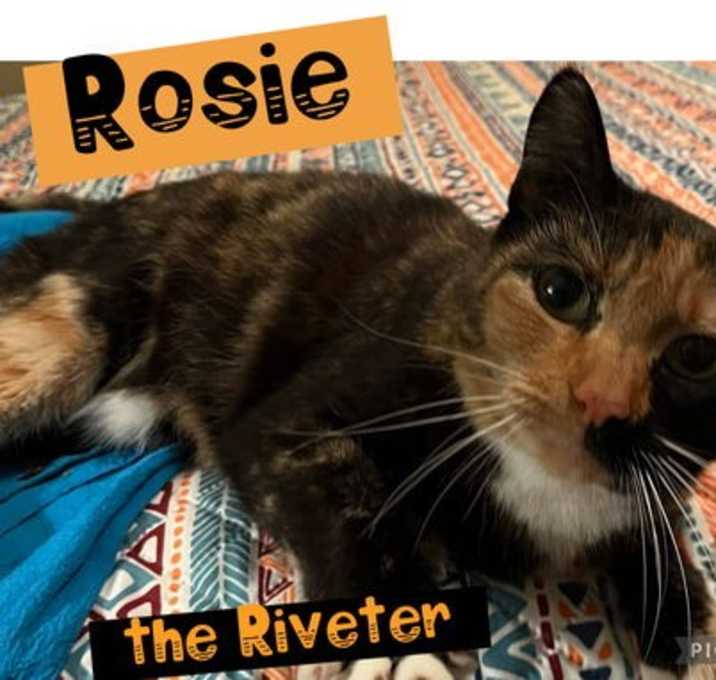 Photo of Rosie the Riveter