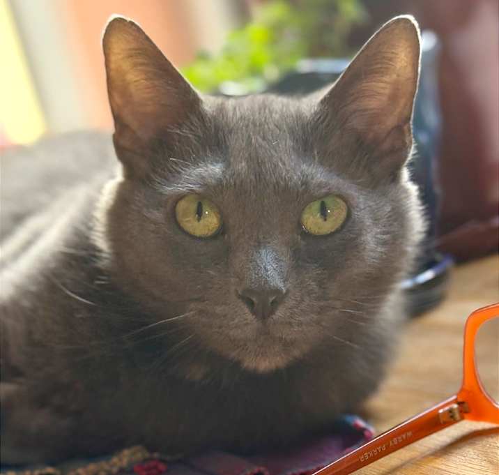 Photo of Shelly