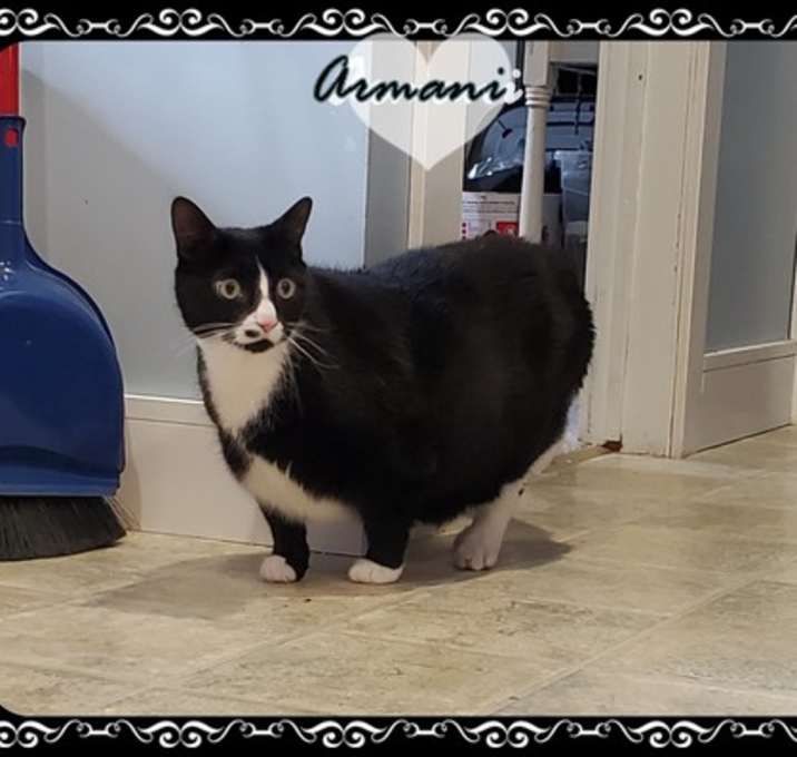 Photo of ARMANI