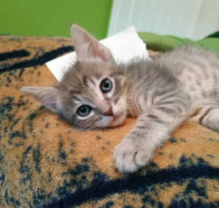 Photo of Bubba