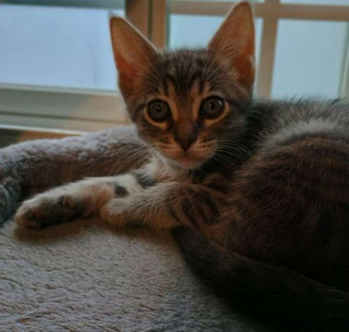 Photo of Bubbles