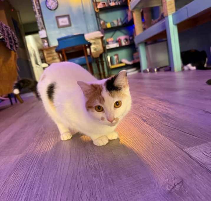 Photo of Carmelita