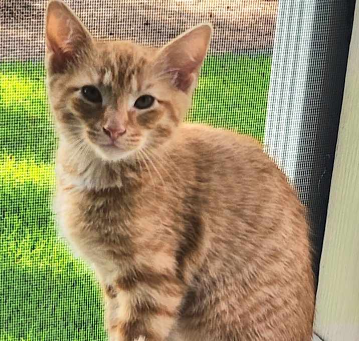 Photo of Bella