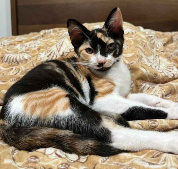 Photo of Alariel