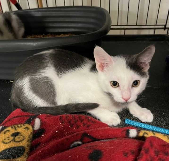 Photo of Cloud