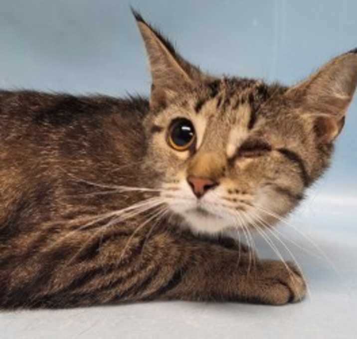 Photo of Precious