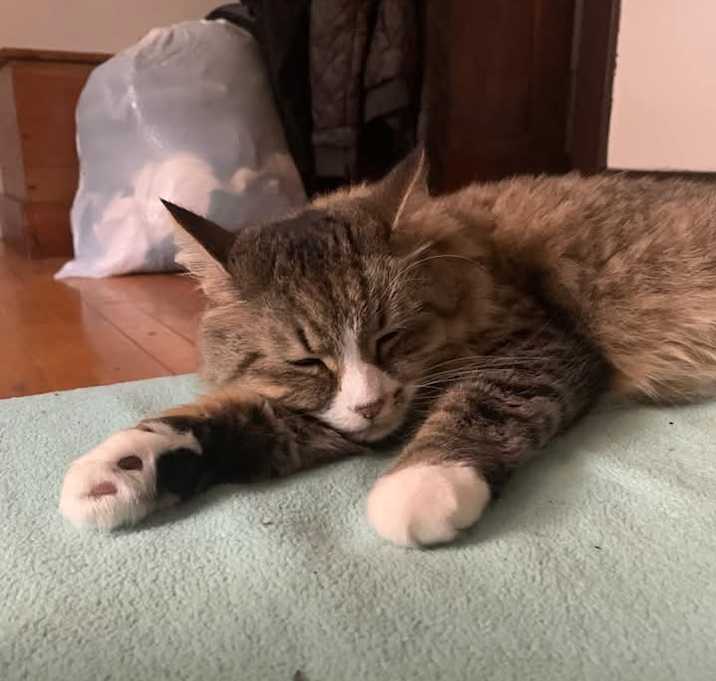 Photo of Mia