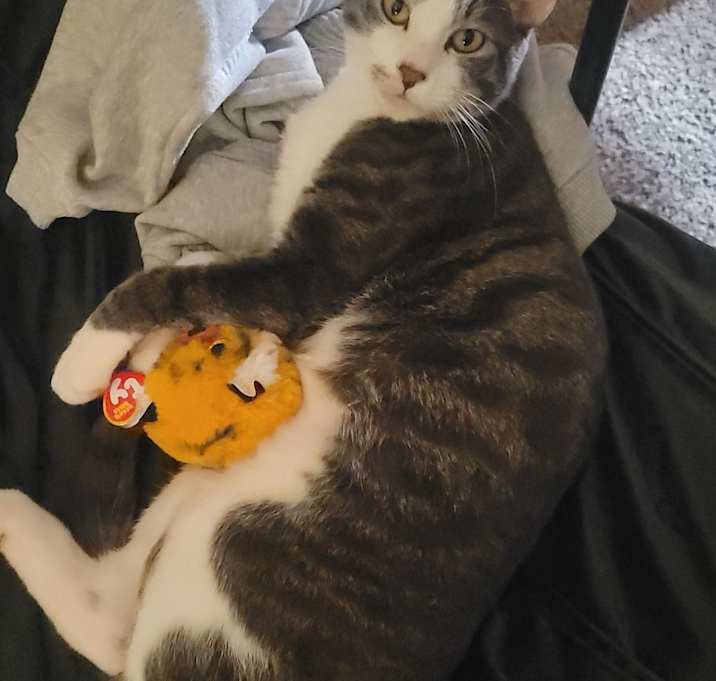 Photo of Persephone