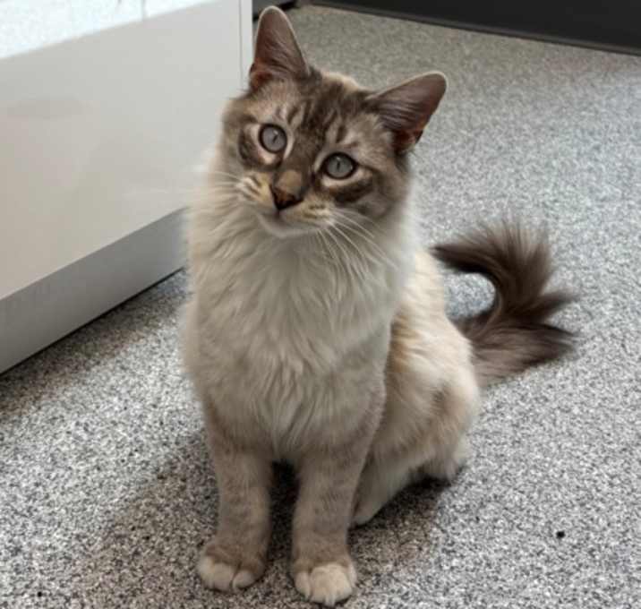 Photo of Binxy