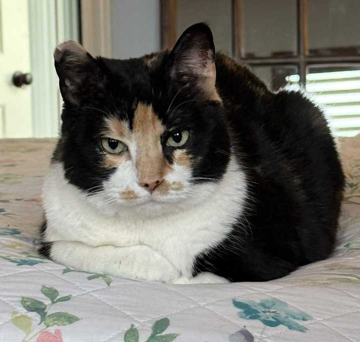 Photo of Katie June