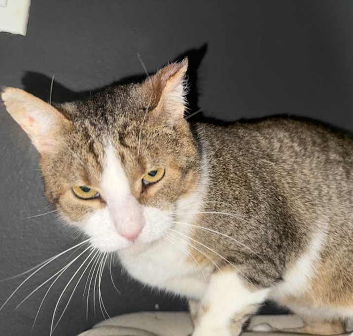 Photo of Gus