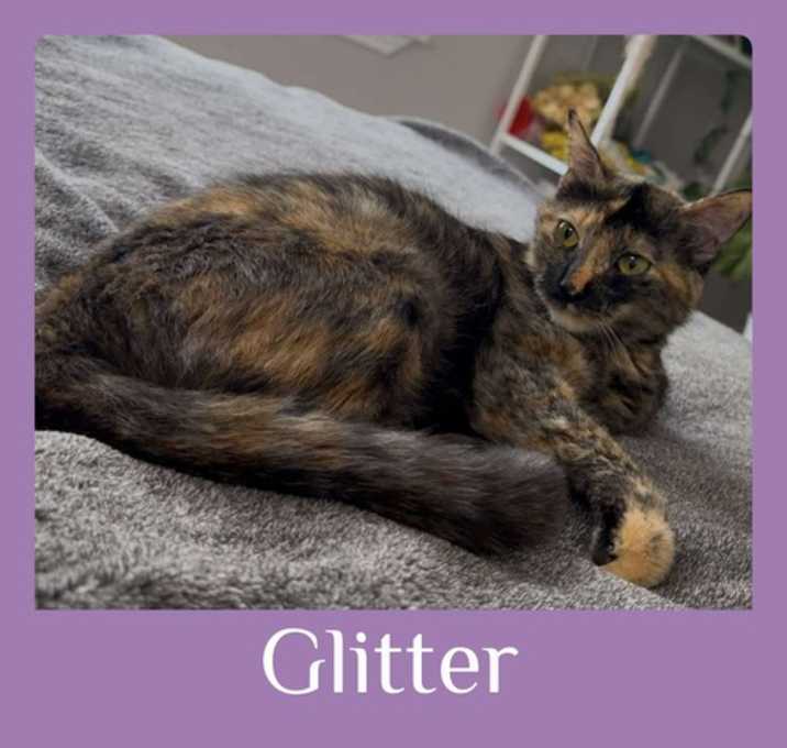 Photo of GLITTER