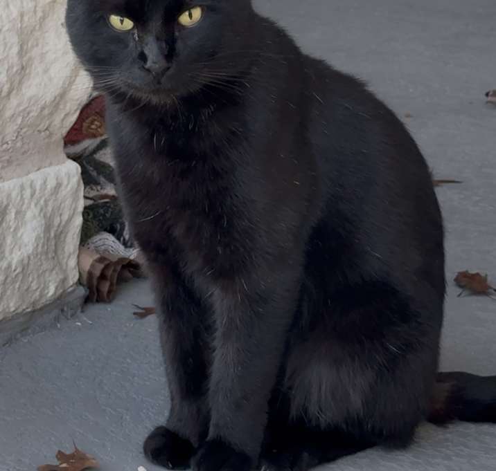 Photo of Salem
