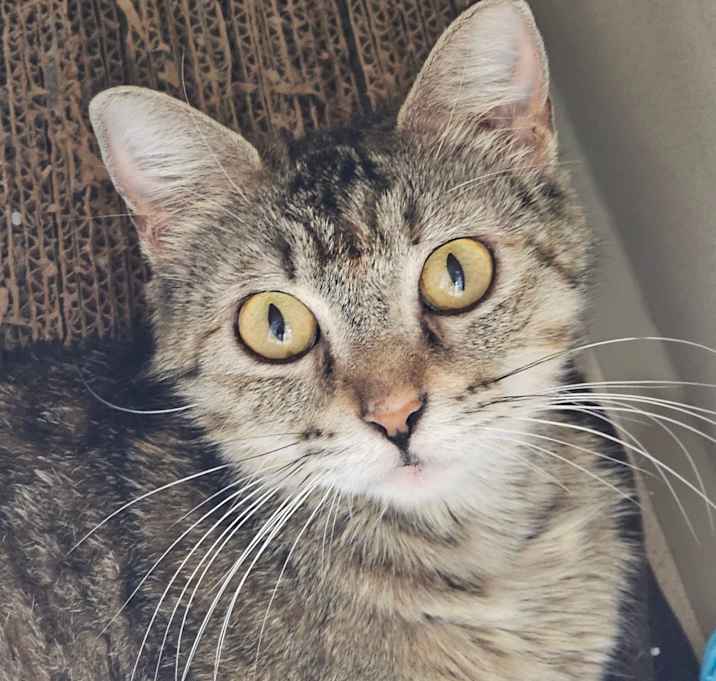 Photo of Bayou