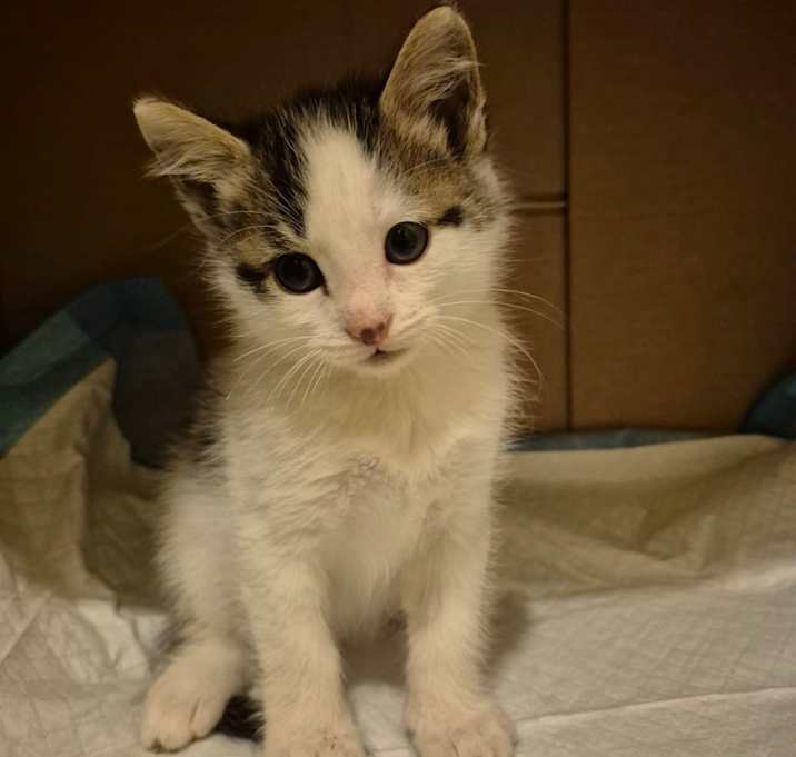 Photo of Binky