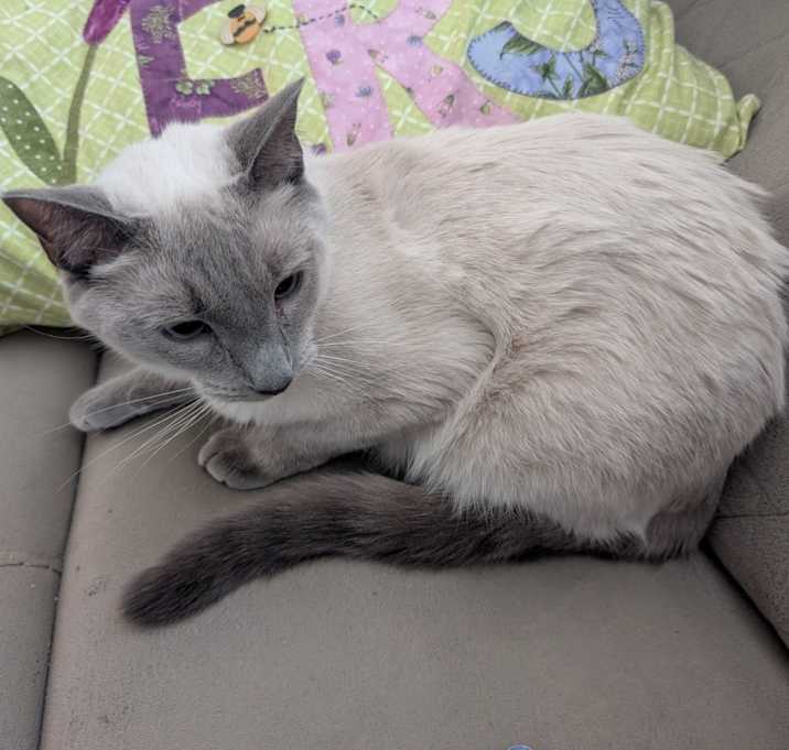 Photo of Char-Char
