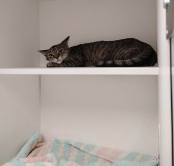 Photo of Pearl