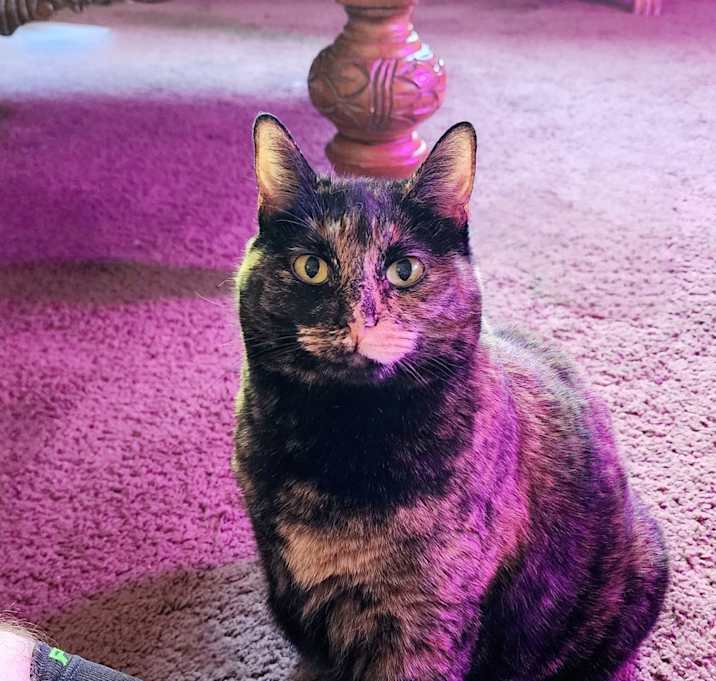 Photo of Lillian