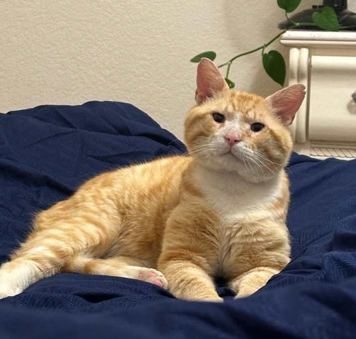 Photo of Bruno