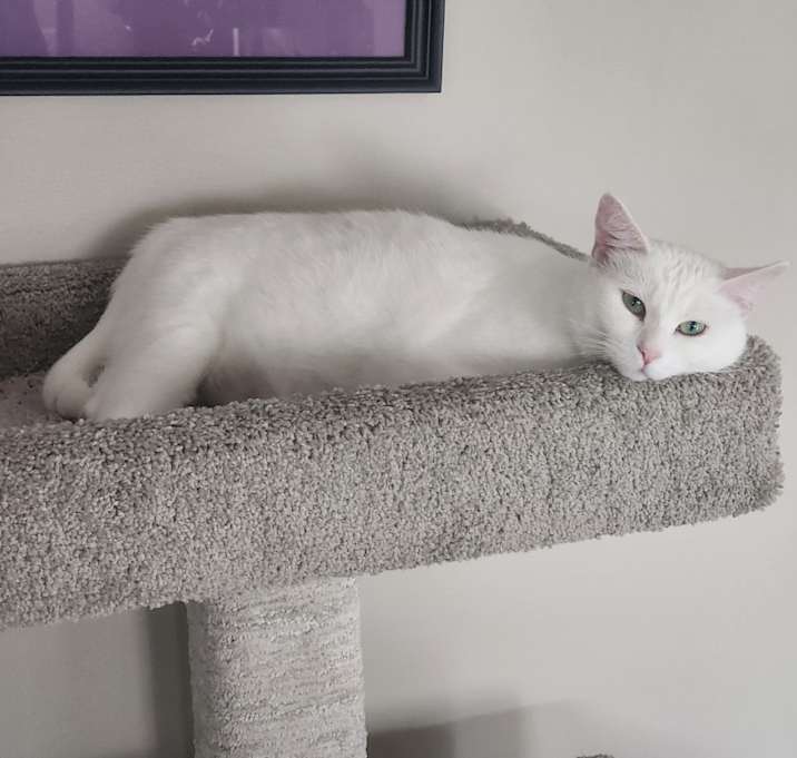 Photo of Valentina