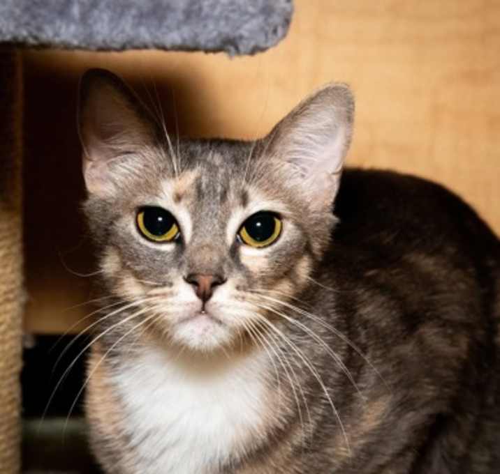 Photo of Tilly