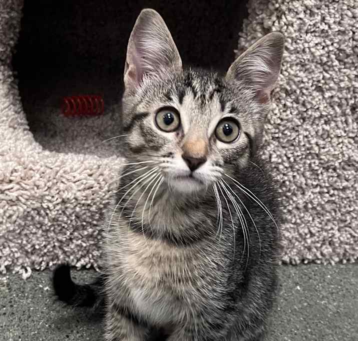 Photo of Tootie