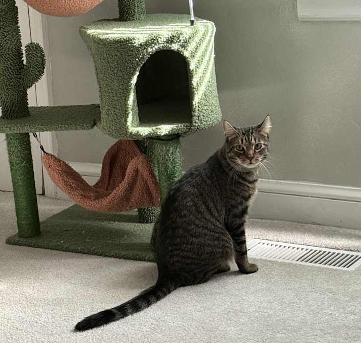 Photo of Benzo