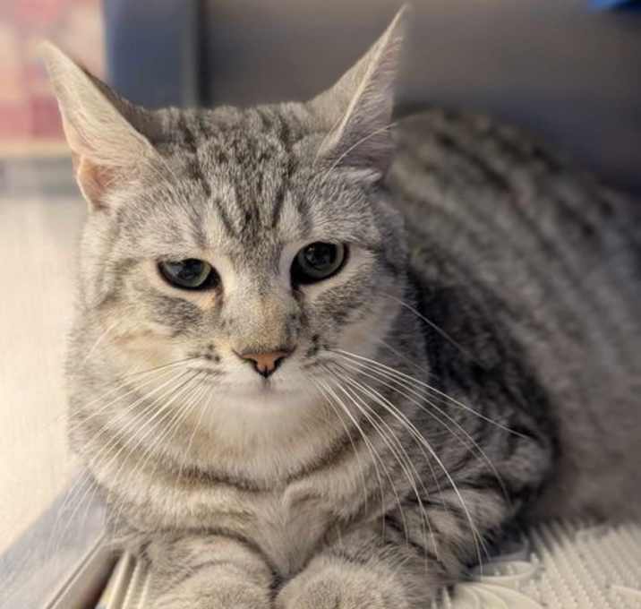 Photo of OAKLEY