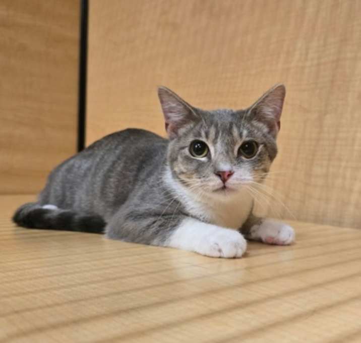 Photo of Rico