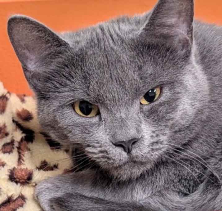 Photo of Elsie