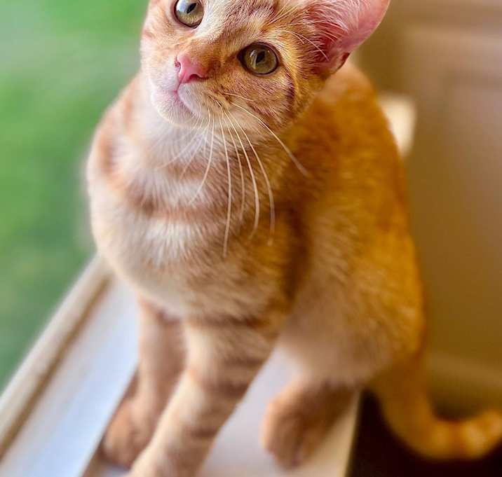 Photo of Chito