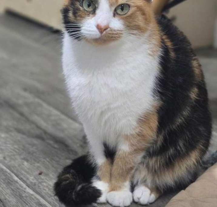Photo of RUBY