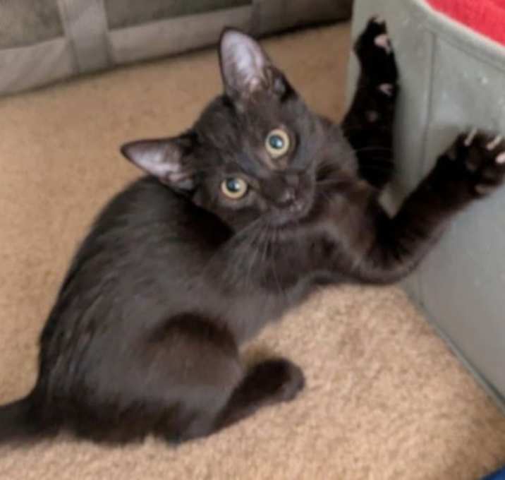 Photo of Maxine