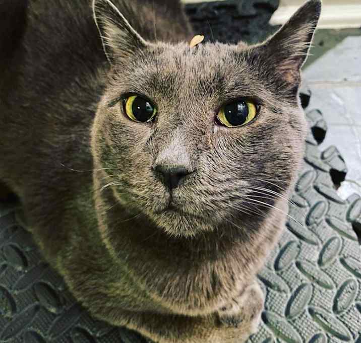 Photo of Saul