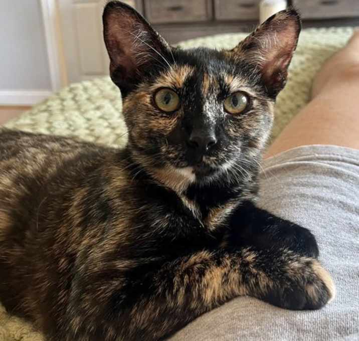 Photo of Missy