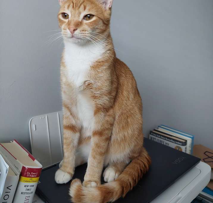 Photo of Ike