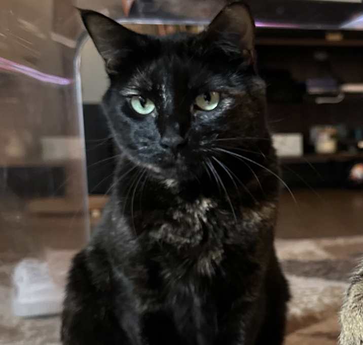 Photo of Remedy