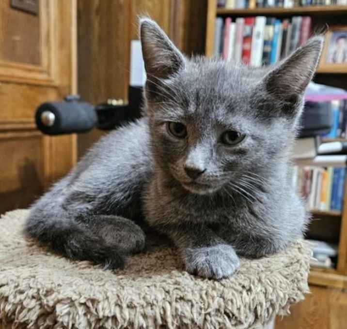 Photo of Teddy