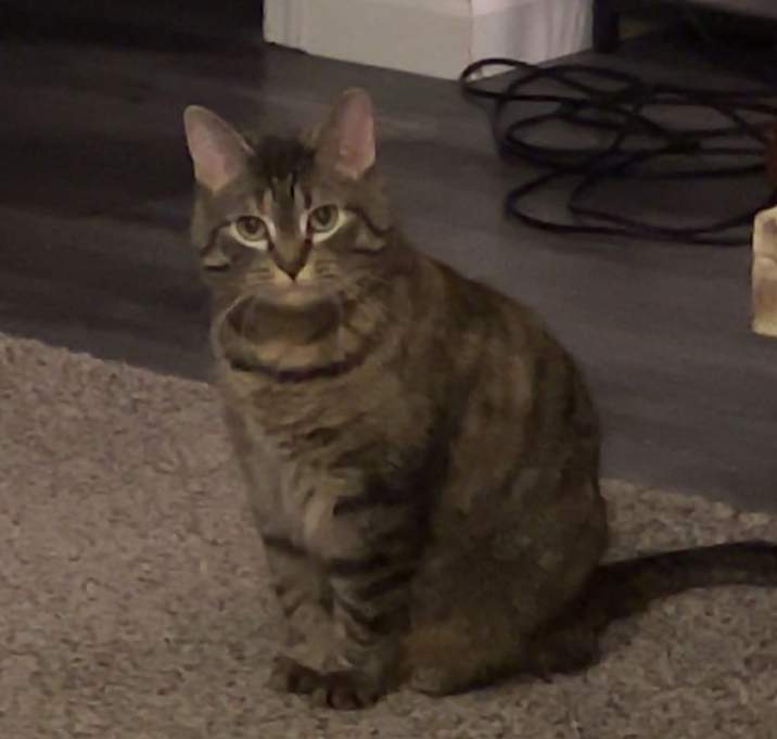 Photo of Flossie