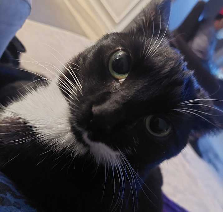 Photo of Tina